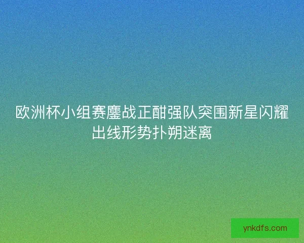 欧洲杯小组赛鏖战正酣强队突围新星闪耀出线形势扑朔迷离