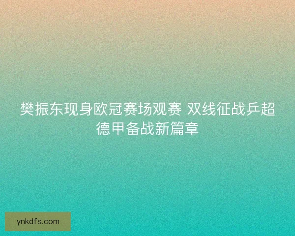 樊振东现身欧冠赛场观赛 双线征战乒超德甲备战新篇章